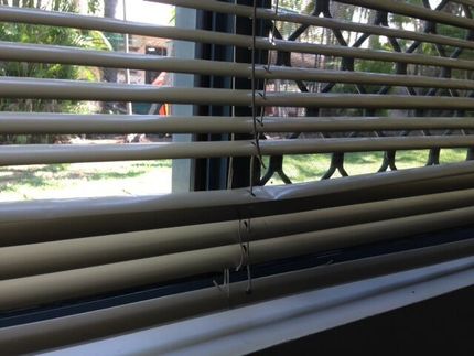 Window blinds — Blinds in Darwin NT