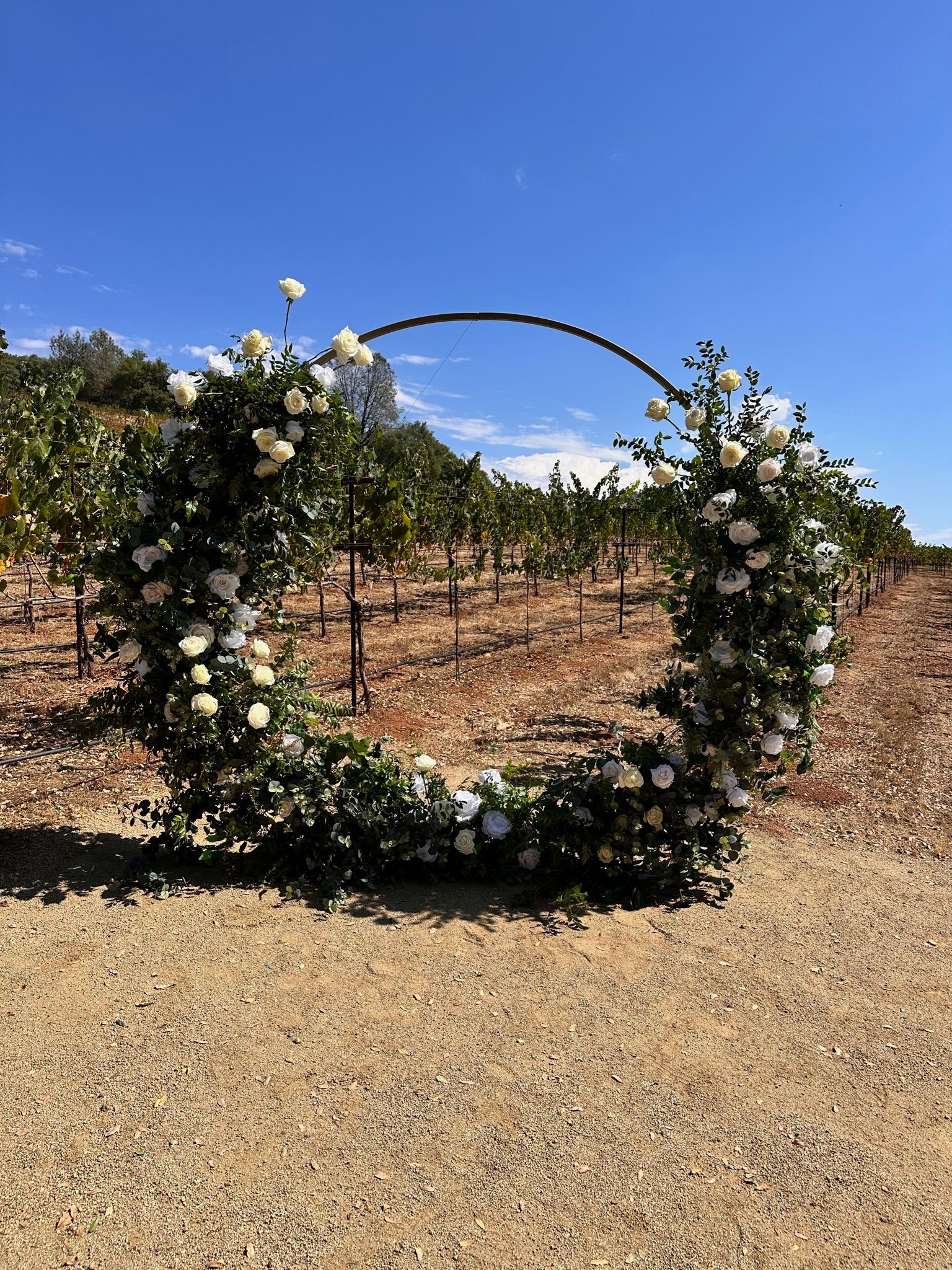 a circle of flowers is in the middle of a field and backdrop