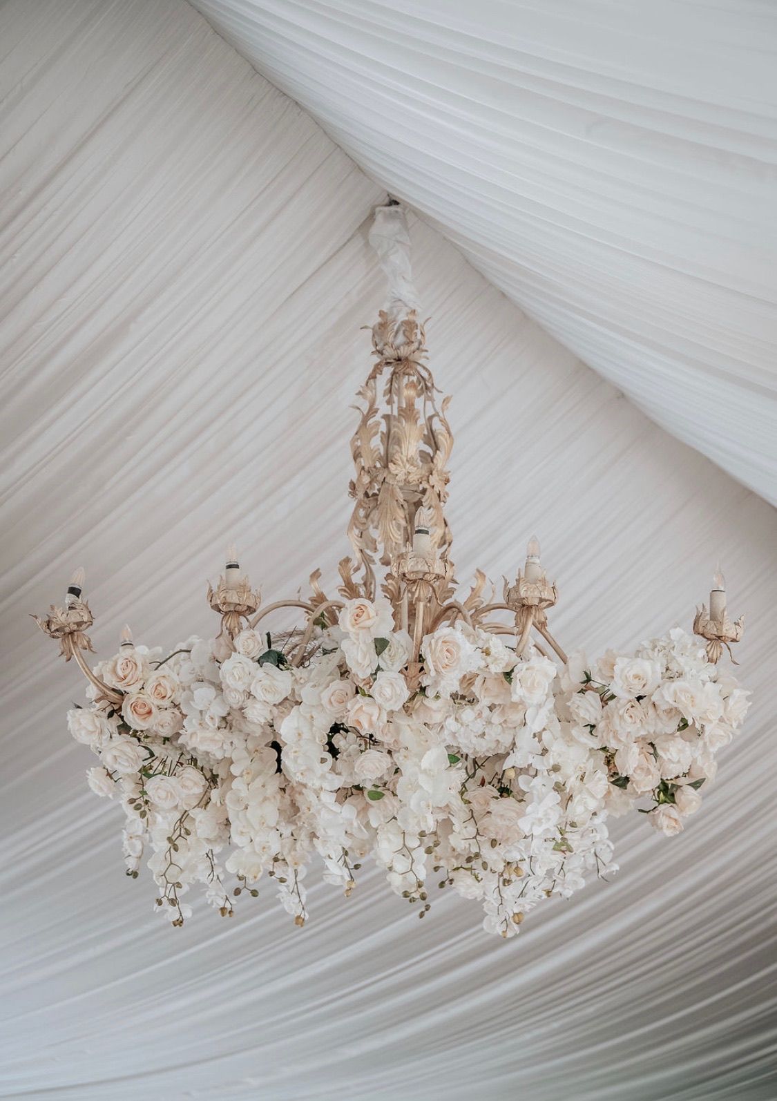 A chandelier filled with white flowers is hanging from the ceiling of a tent.