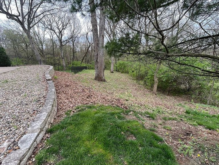 A lush green field with trees and leaves on the ground.