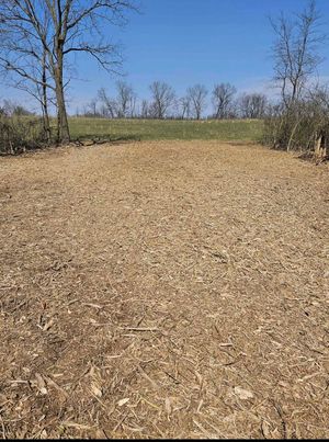 A dry field with trees in the background and a blue sky in the background.