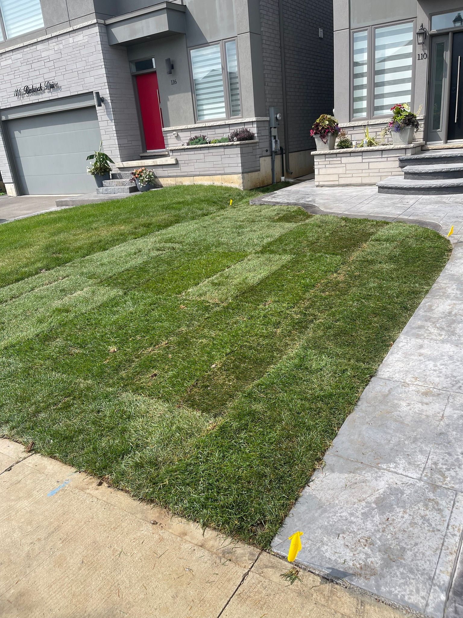 Lawn in front of modern gray house with red door. Green grass, gray walkway, sunny day.