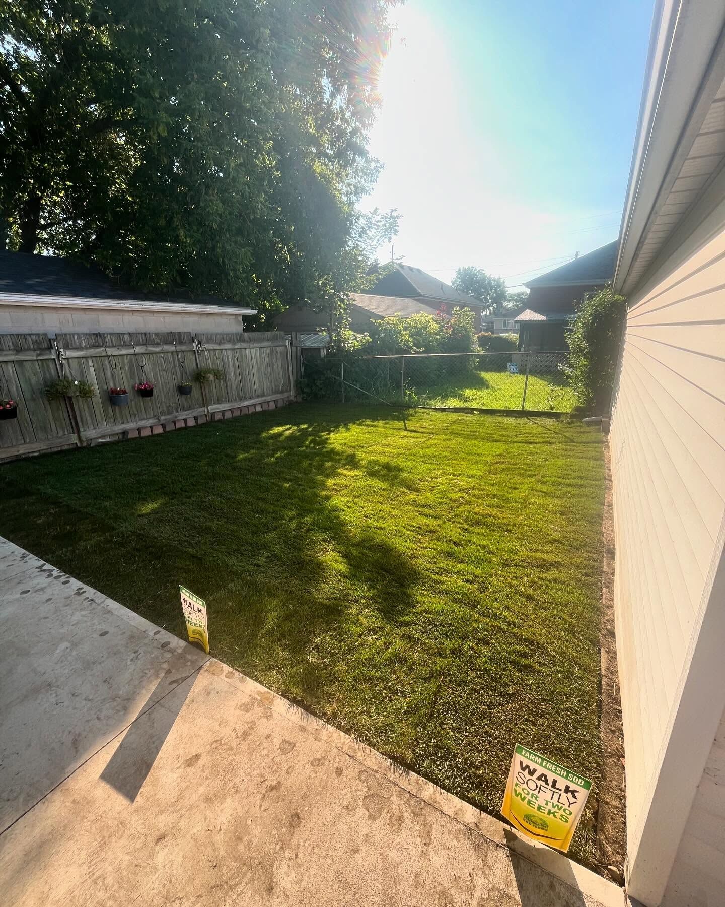 Backyard with green lawn, wooden fence, sunny sky, and house siding.