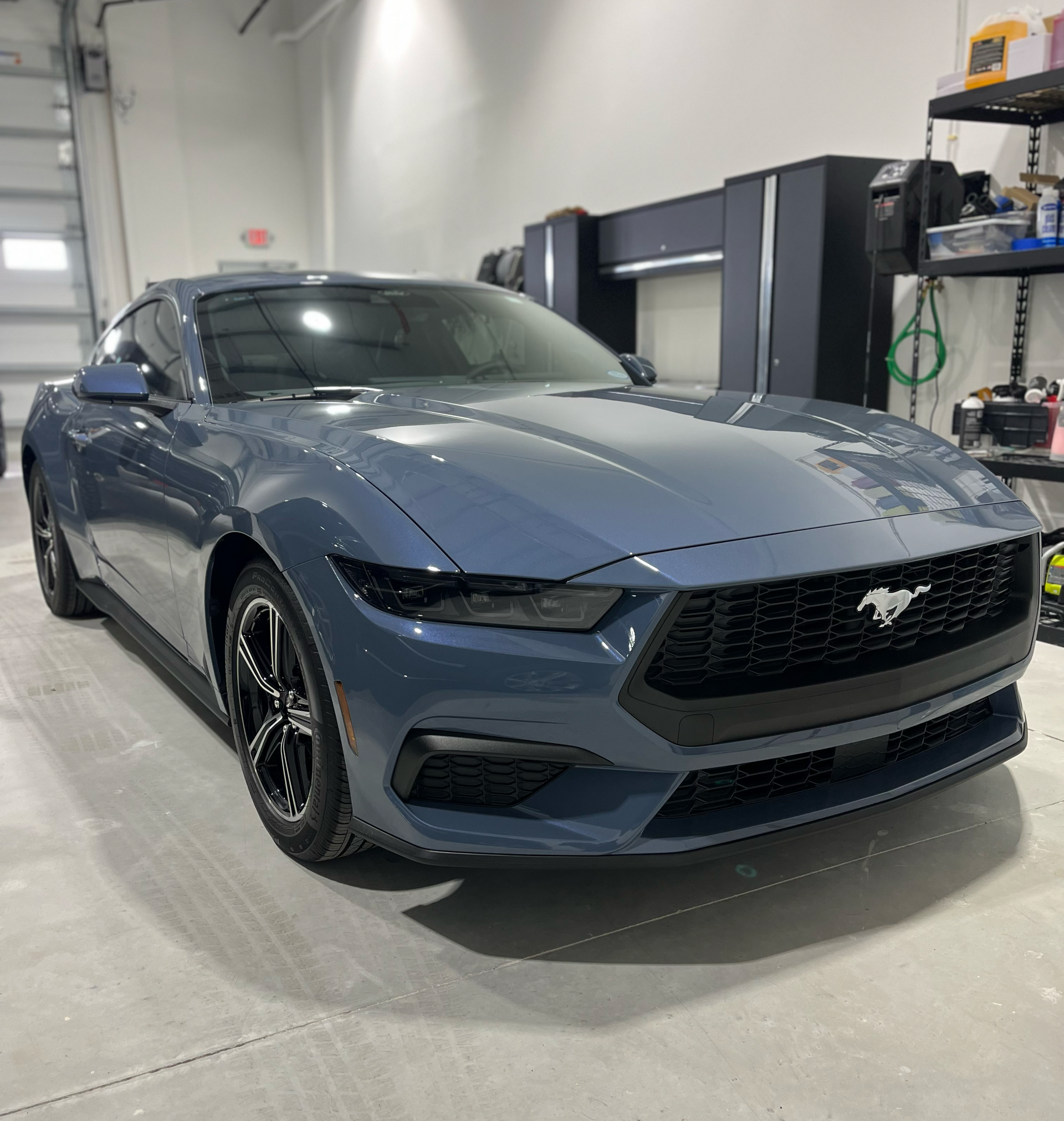 Blue Ford Mustang parked inside a well-lit garage, black grille, wheels, and side trim.