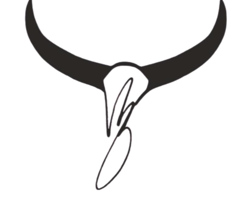 A logo for Longhorn Pottery