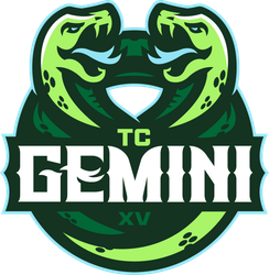 TC Gemini | Home