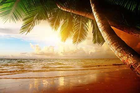 Golden beach scene with palm trees, ocean waves, and bright sunlight.