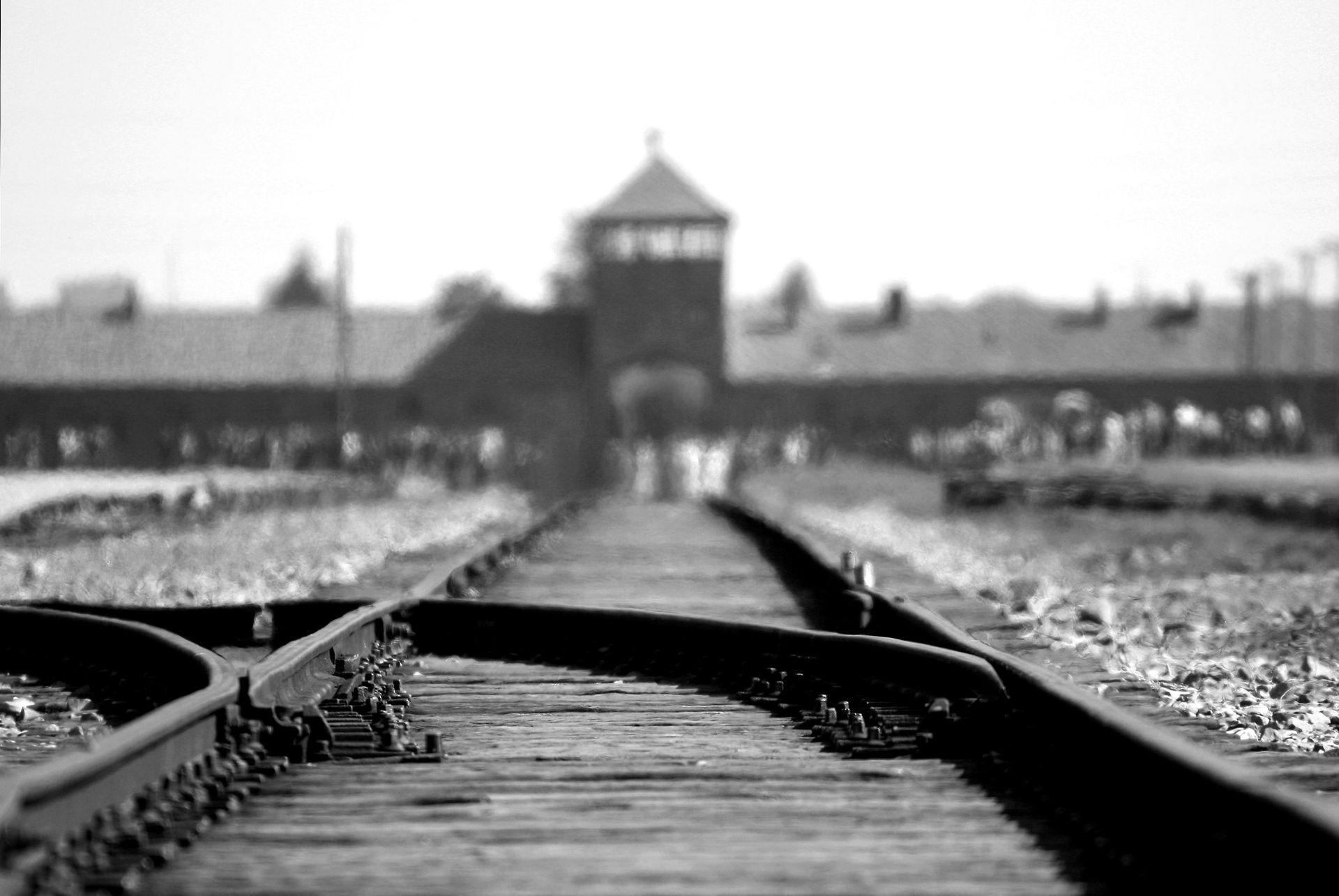 birkenau auschwitz rails train