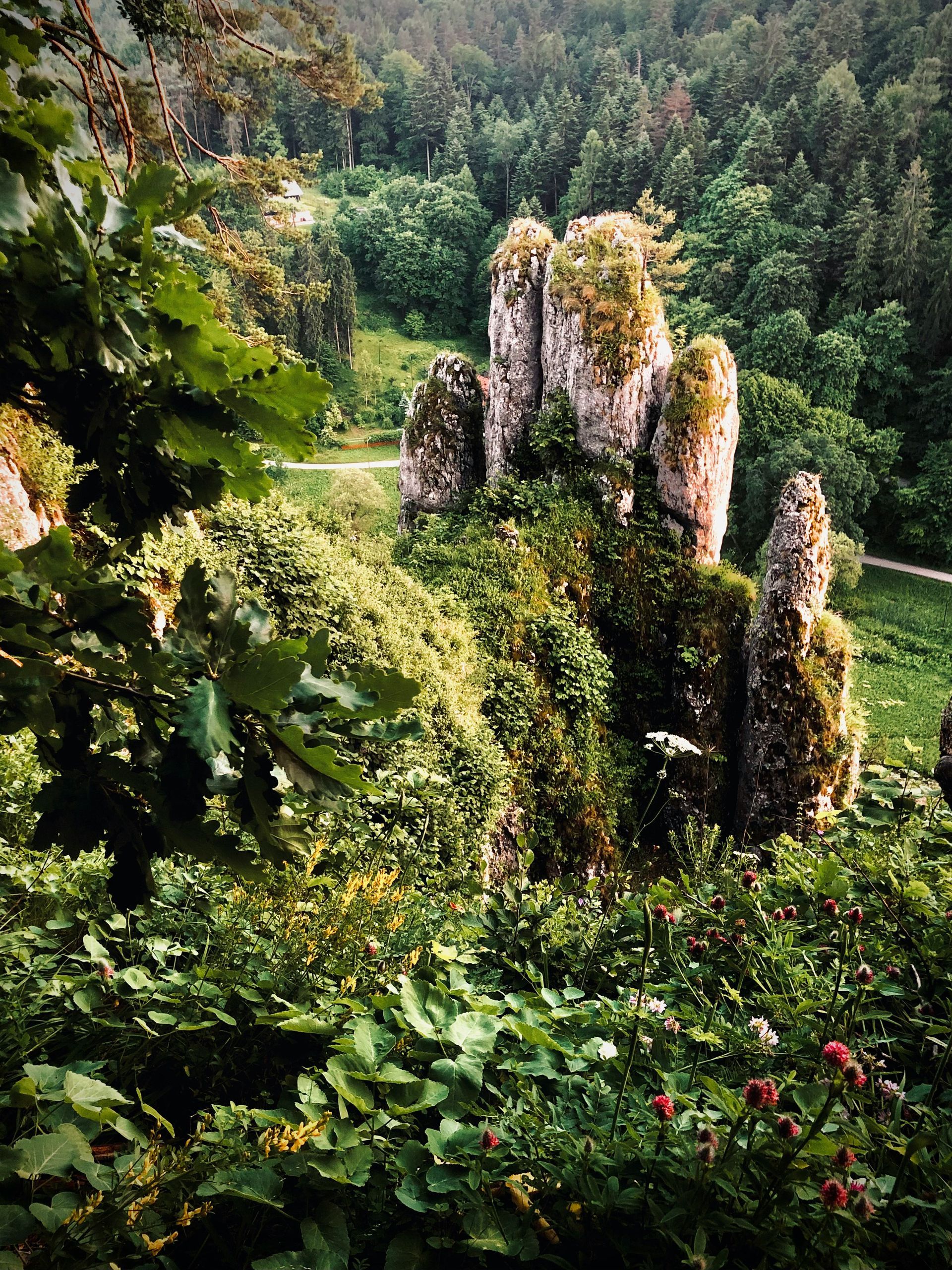 Ojców National Park — nature trail through limestone gorge