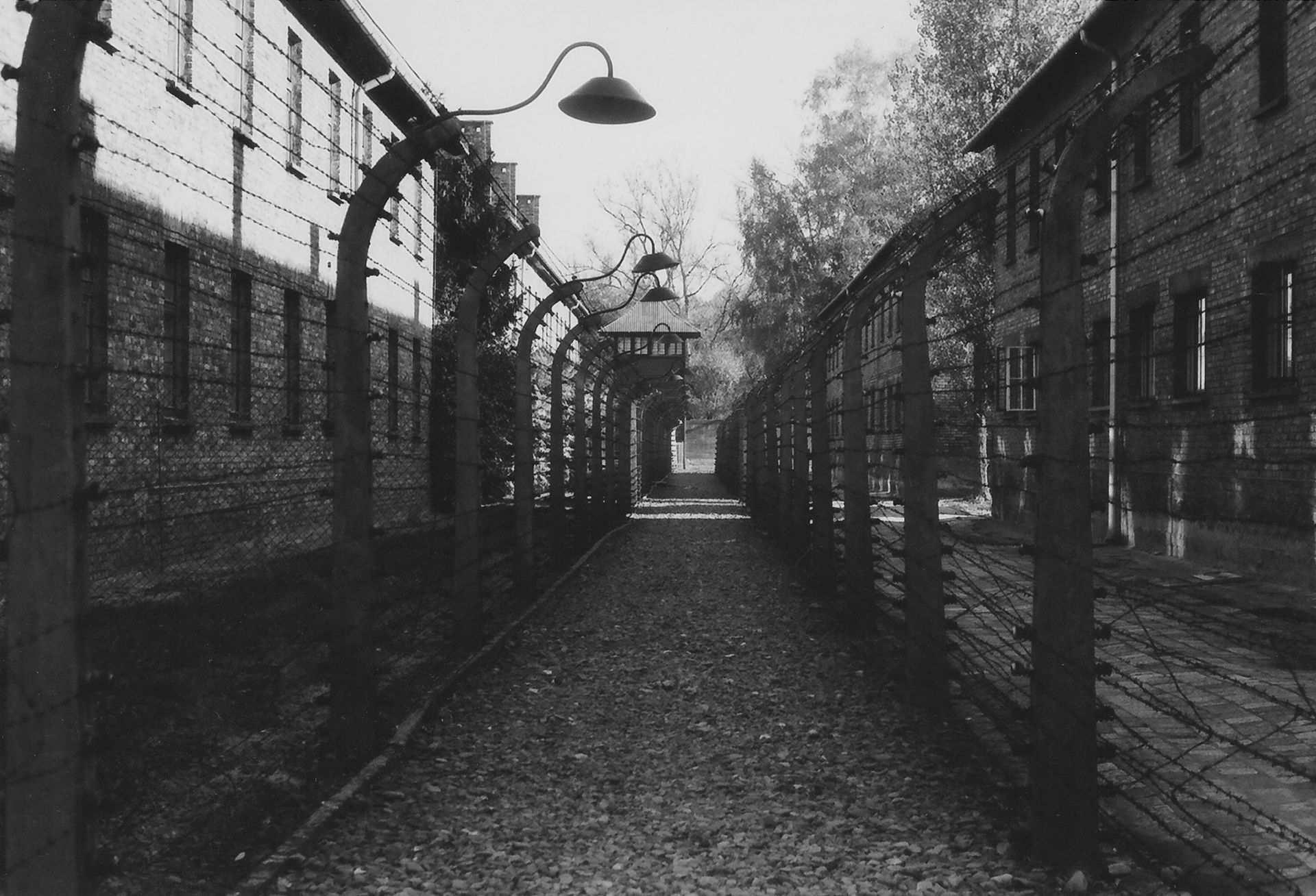 Auschwitz tour from Krakow — ruins of gas chambers at Birkenau