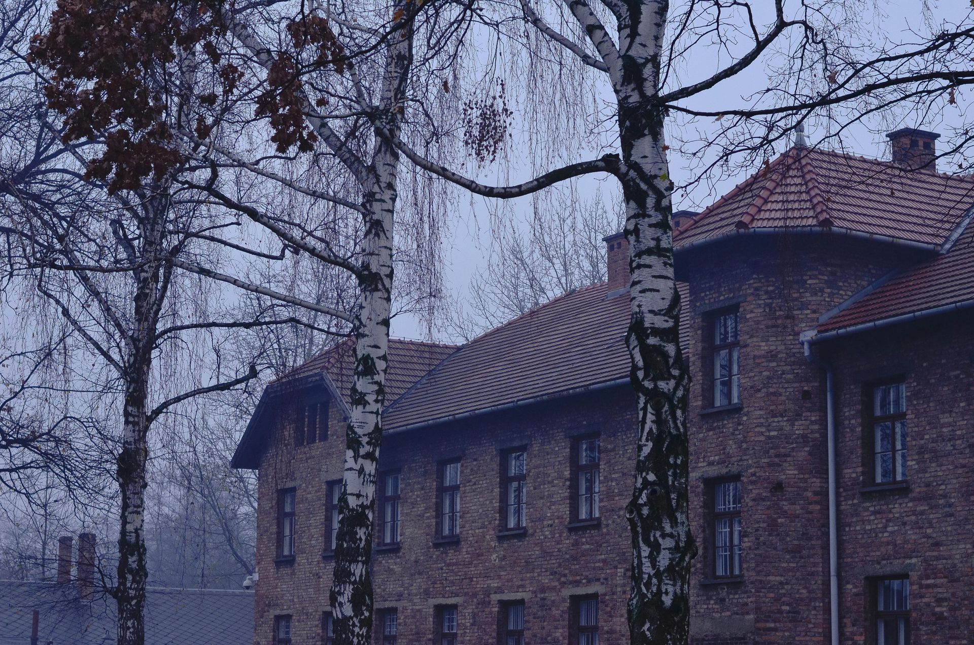 Auschwitz-Birkenau railway ramp — guided tour from Krakow