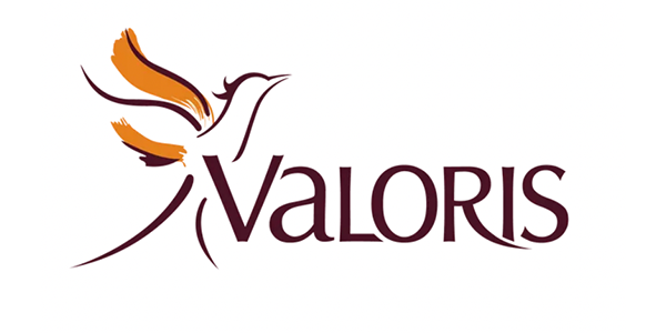 A logo for a company called valoris with a bird on it