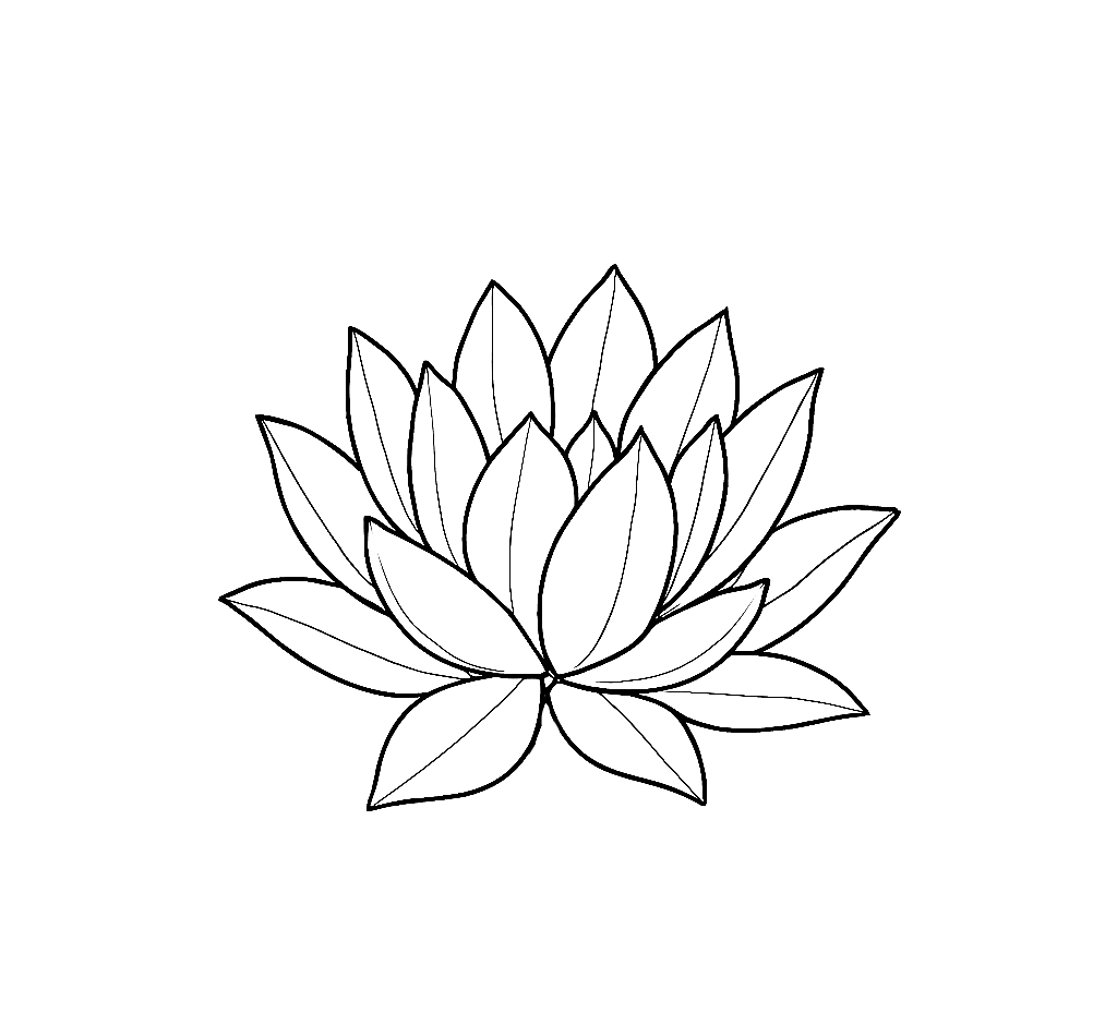 Outline of a lotus flower with many petals.