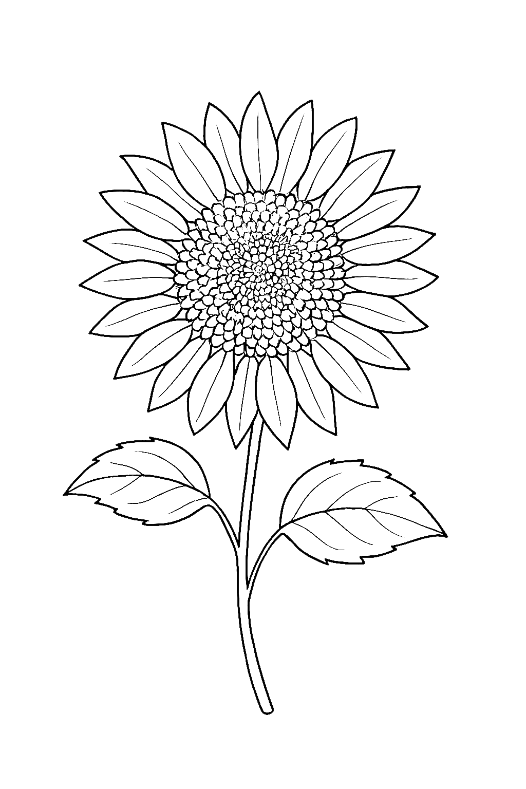 Sunflower in black and white, with a detailed center, petals, stem, and leaves.