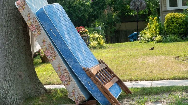 Two mattresses leaning against a tree in a grassy yard, one blue and one floral-patterned.