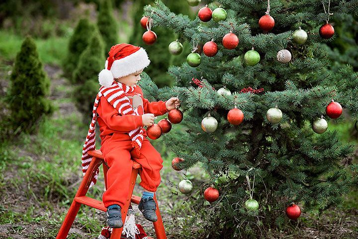 A little boy is sitting on a ladder decorating a christmas tree.