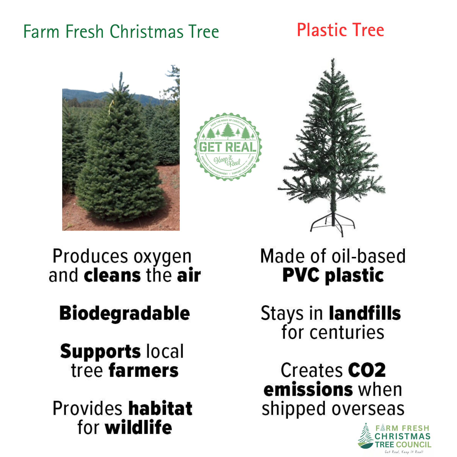 A picture of a farm fresh christmas tree and a plastic tree.