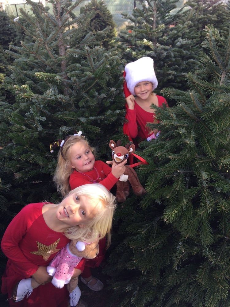 Three little girls are standing next to a christmas tree.