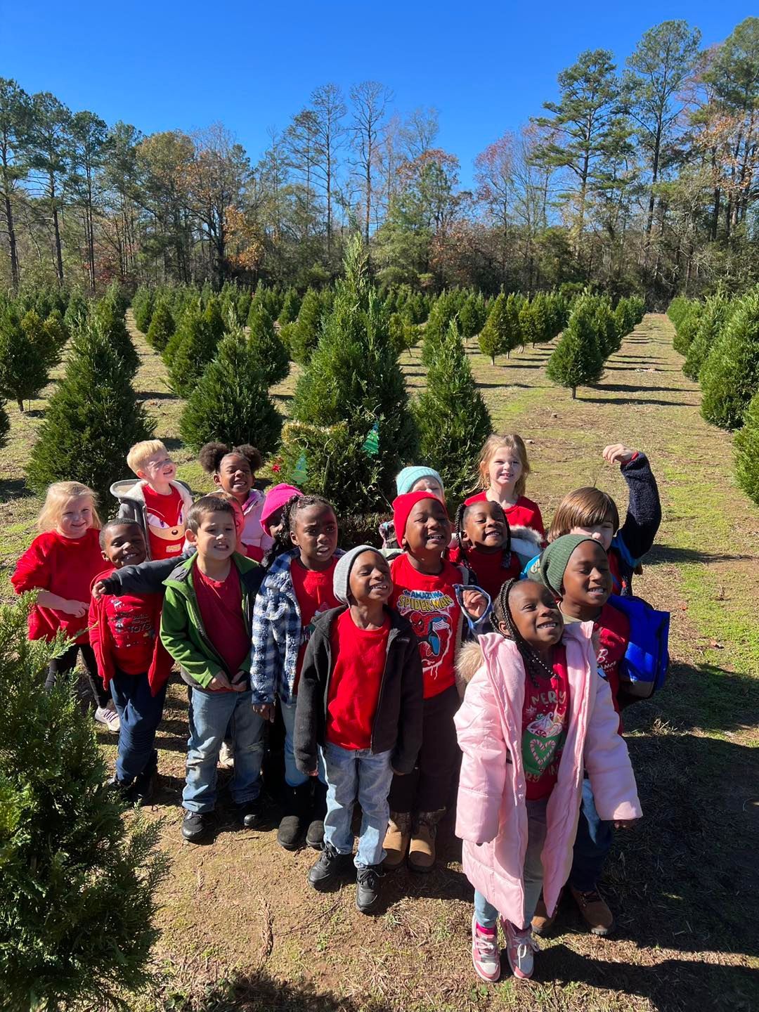 A group of children are standing in a field of christmas trees.
