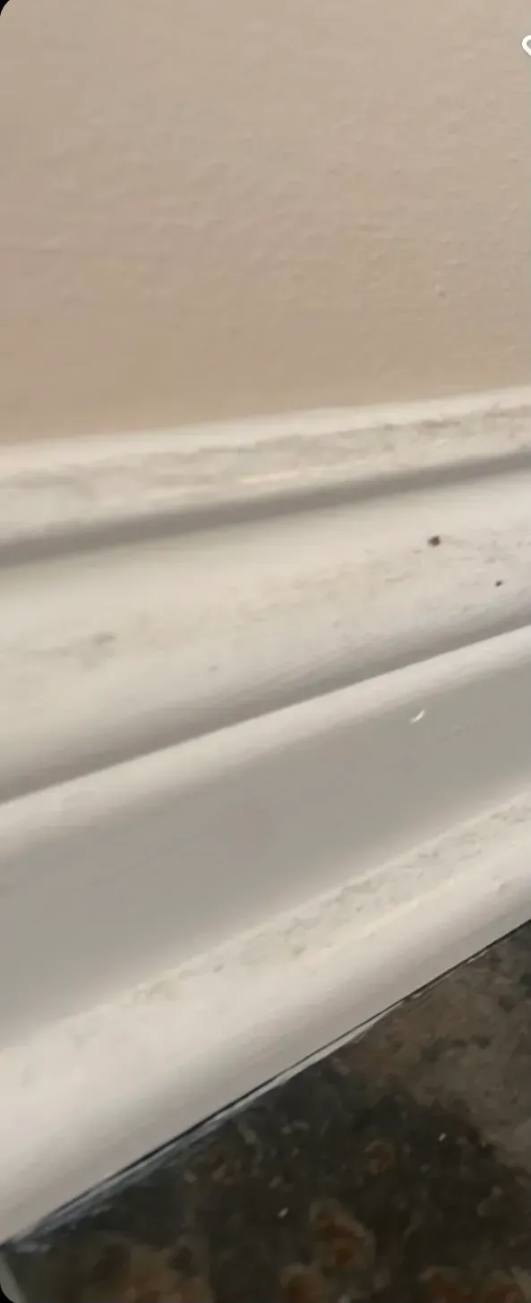 A close up of a dirt white molding on a wall.