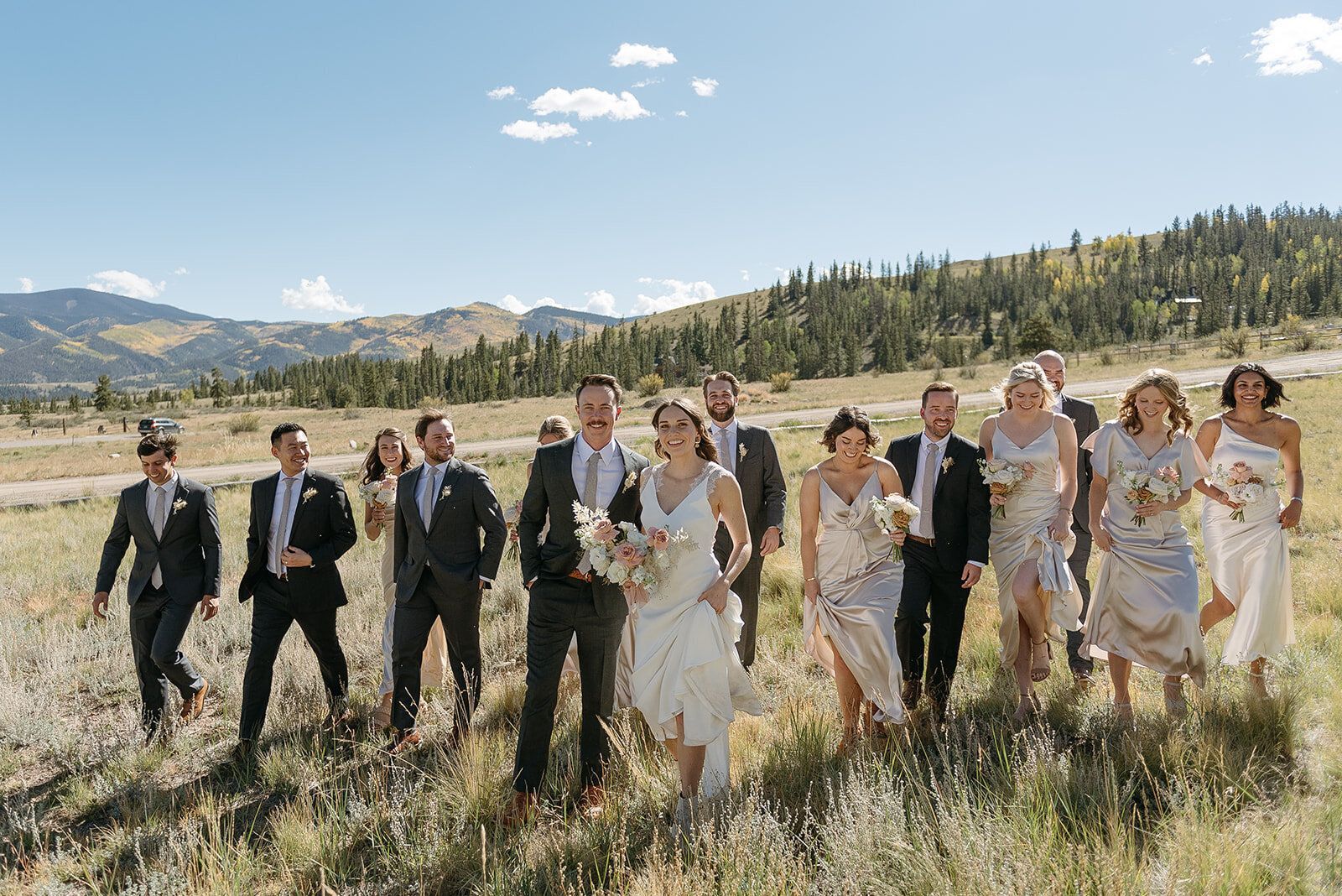 A large wedding party is walking through a grassy field.