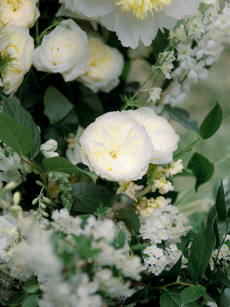 A close up of a bouquet of white flowers with green leaves.