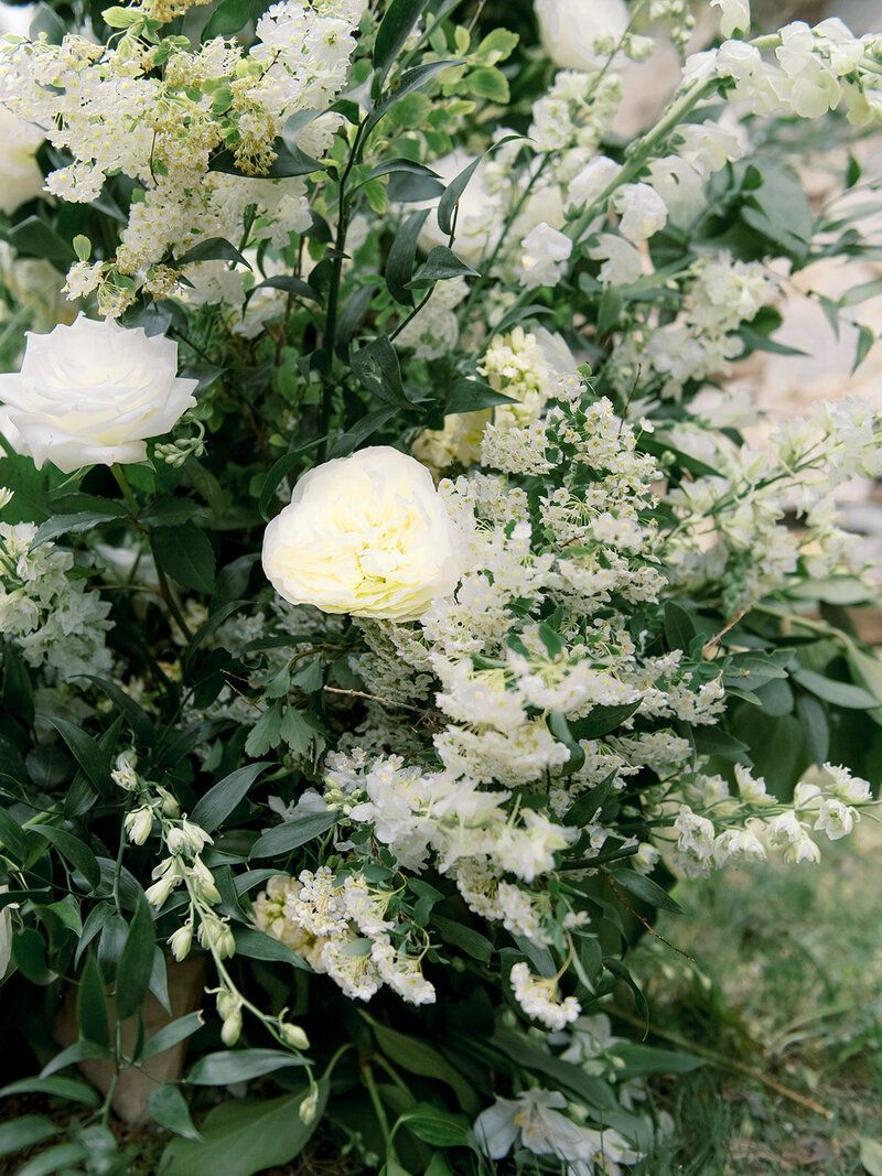 A close up of a bunch of white flowers with green leaves.
