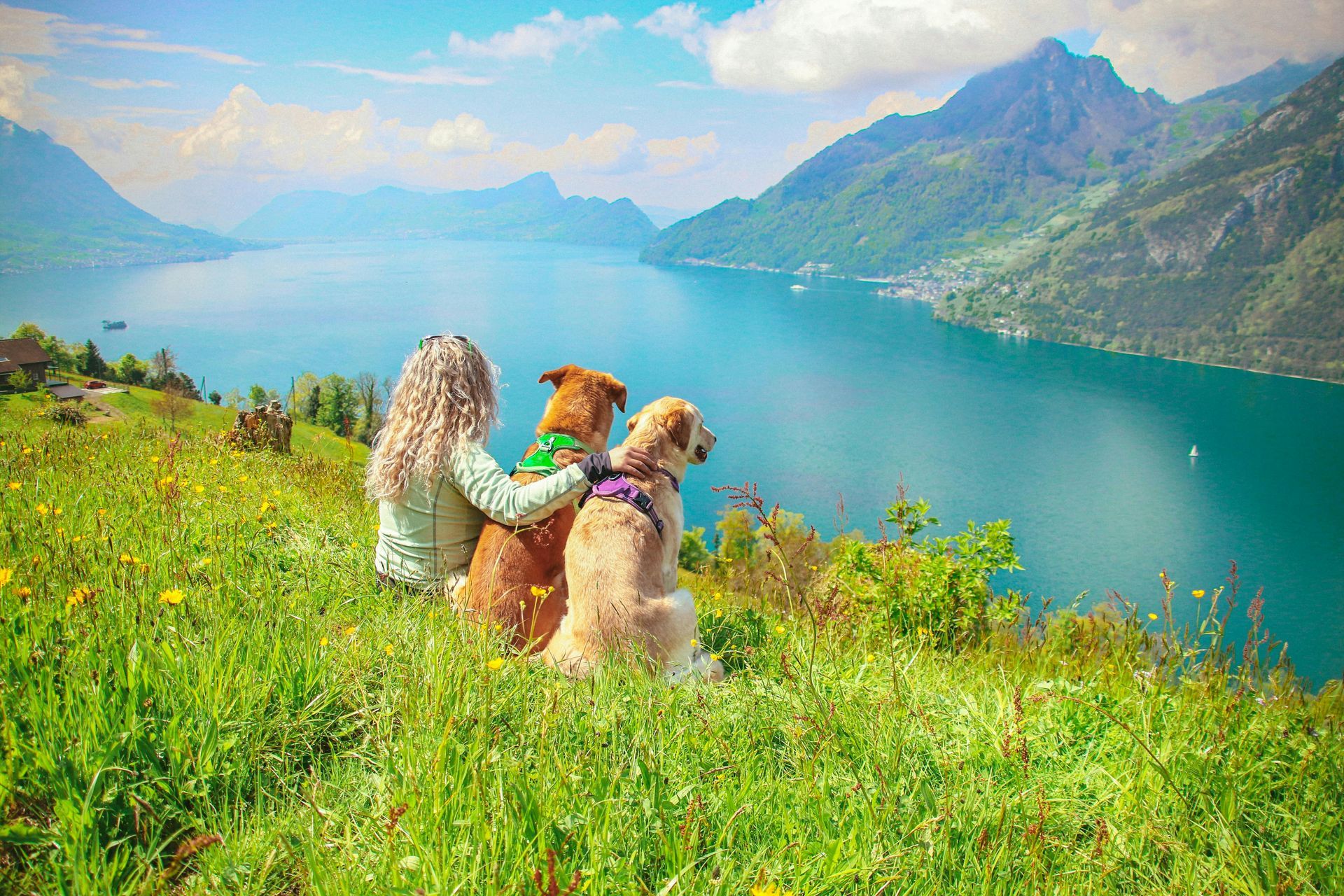 A woman and two dogs are sitting on top of a grassy hill overlooking a lake.