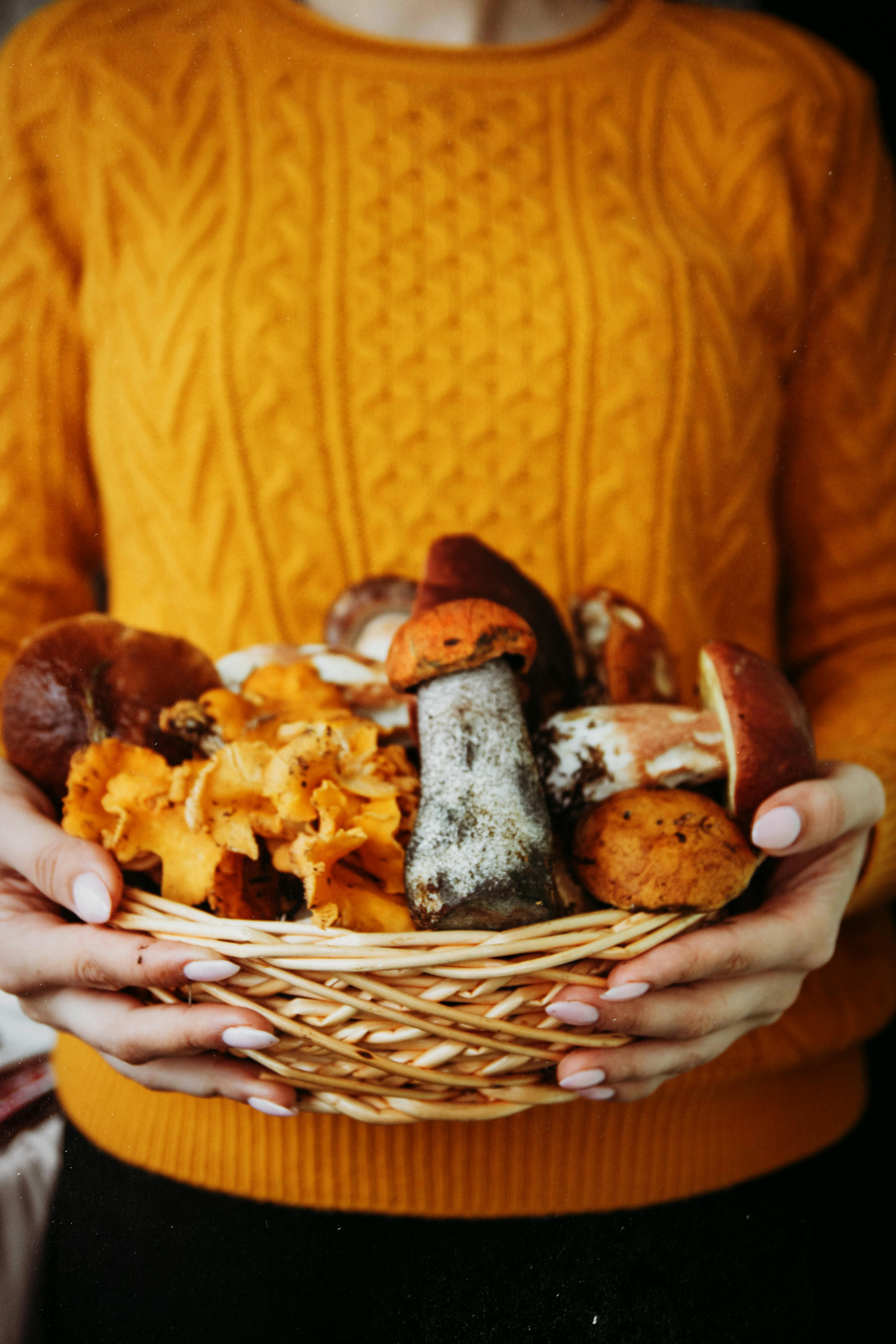 Woman holding basket of assorted mushrooms, wearing orange sweater.