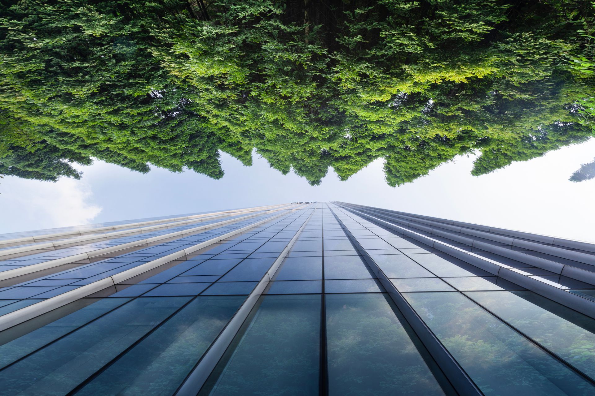 impresa edile caccia residenze