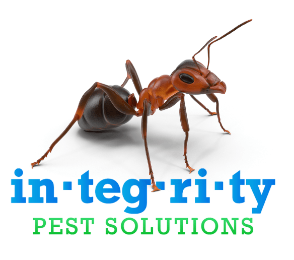 Residential-Pest-Control