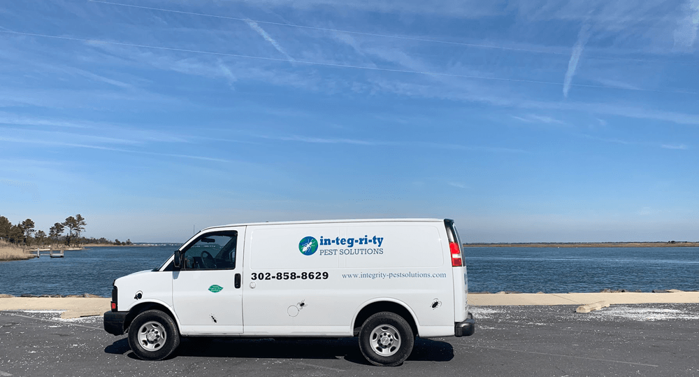 Number-One-Rated-Pest-Control Company In Delaware