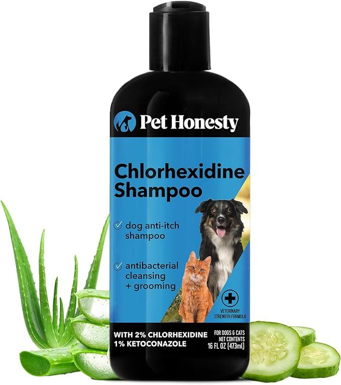a bottle of chlorhexidine shampoo for dogs and cats .