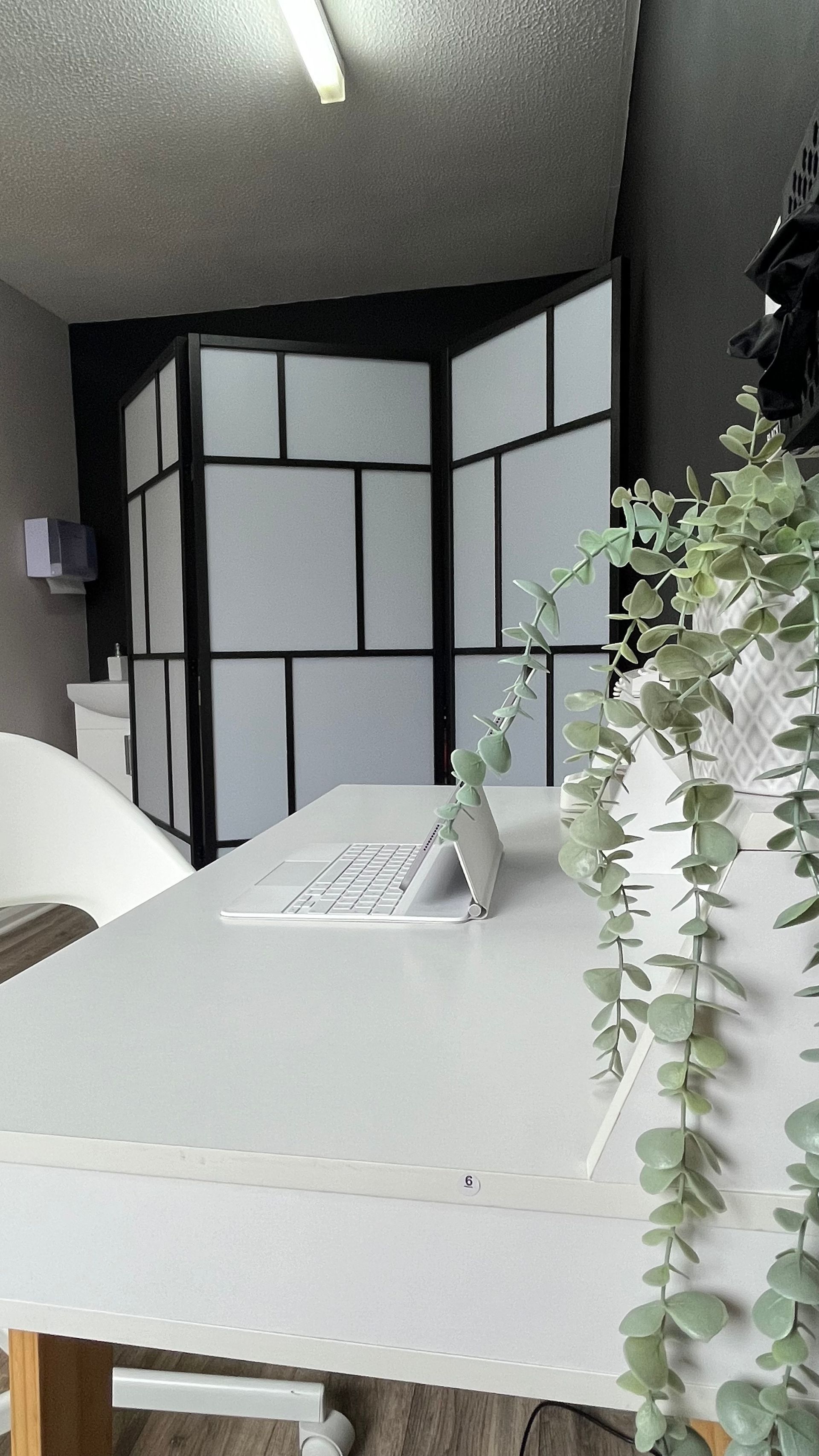 White desk with plant, in front of a folding screen.