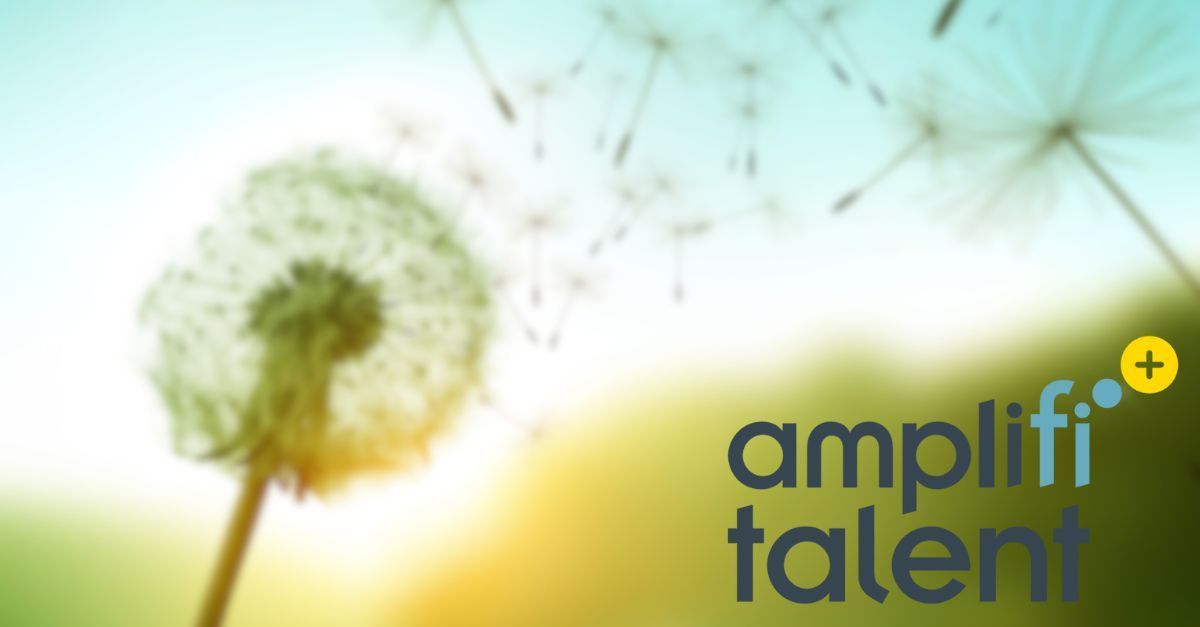 Amplifi Talent Finance Business Intelligence