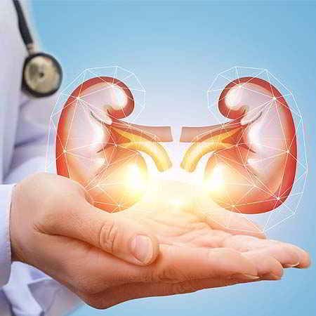 Un par de riñones brillantes e ilustrados, sostenidos en manos abiertas, con un estetoscopio de médico al fondo.