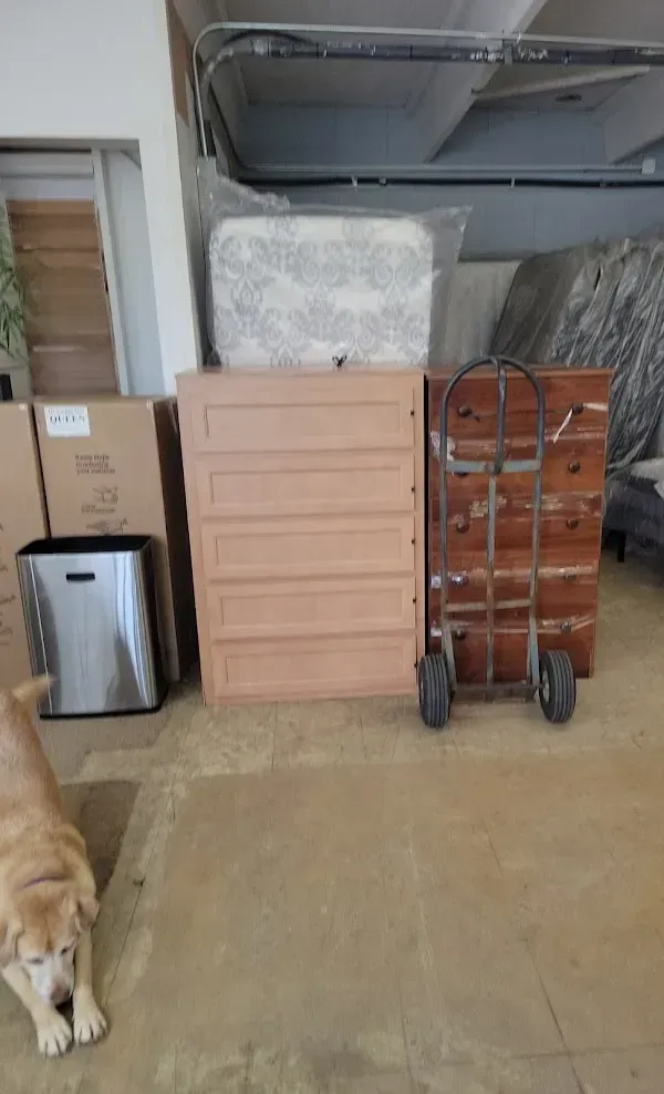 Garage with stacked boxes, a pink chest, a folding hand truck, and part of a dog at left.