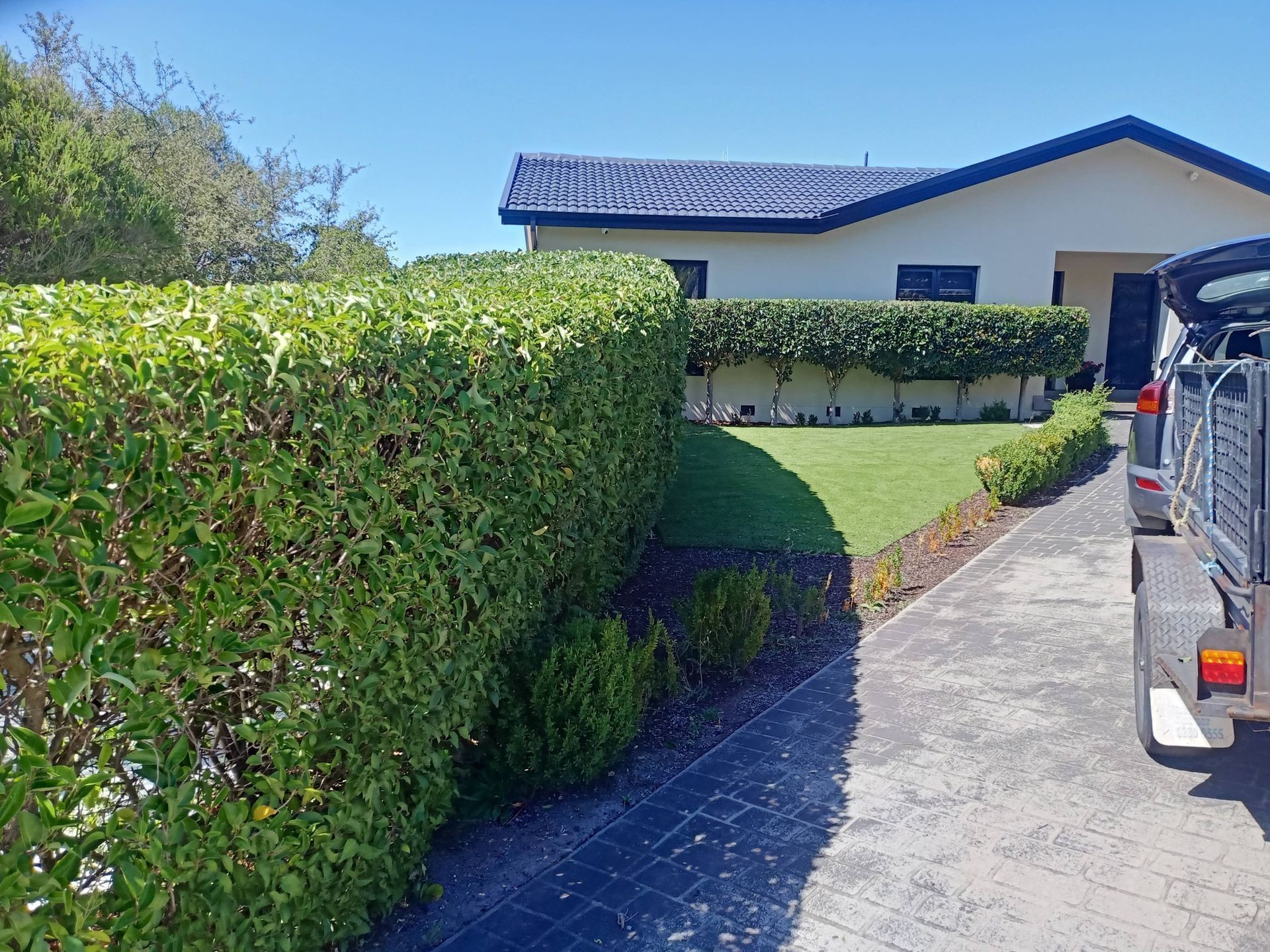 A tall, manicured hedge lines a driveway leading to a light-coloured house with a dark roof under a clear blue sky.  — Your Garden in Gungahlin, ACT