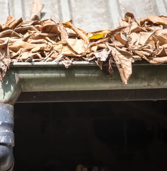 A Gutter Blocked With Dead Leaves — Your Garden in Belconnen, ACT