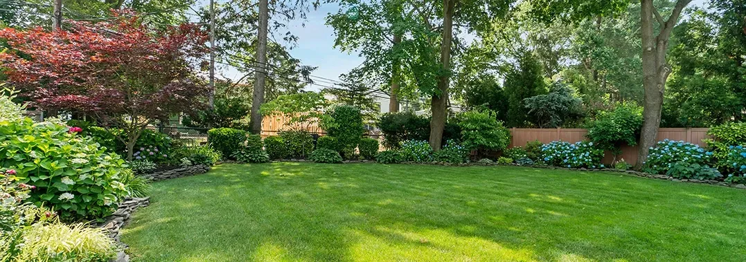 Lush green yard with a variety of trees and bushes. A small wall runs along the edge of the grass. — Your Garden in Belconnen, ACT