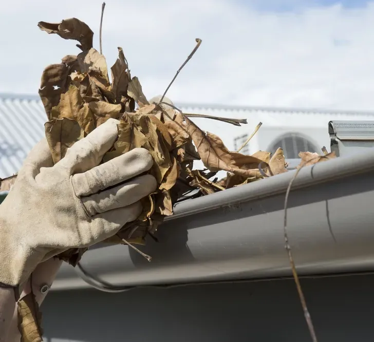 A Person Removing Leaves Form A Gutter — Your Garden in Belconnen, ACT