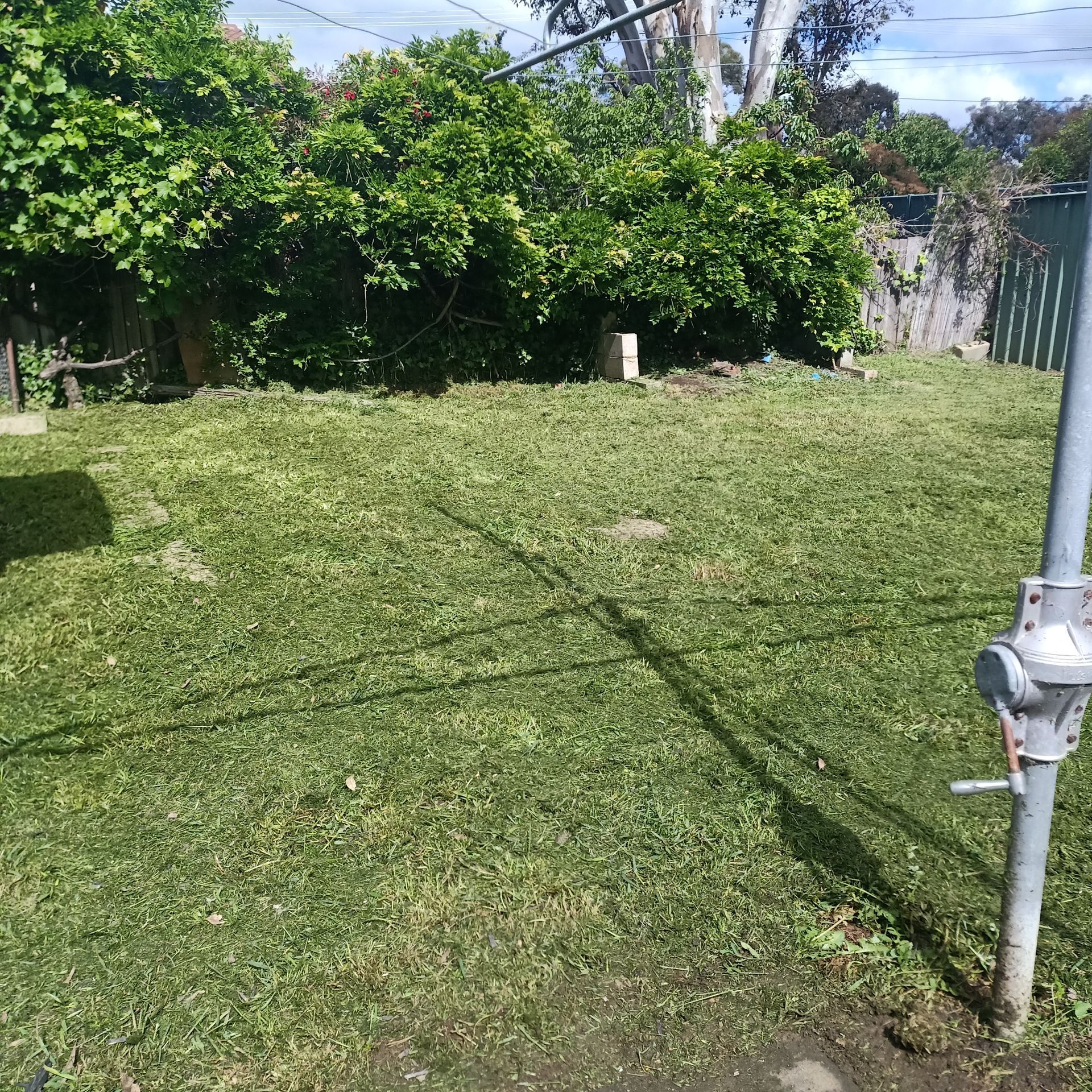 Green lawn with freshly cut grass, trees in the background, clothesline pole in the foreground. — Your Garden in Gungahlin, ACT