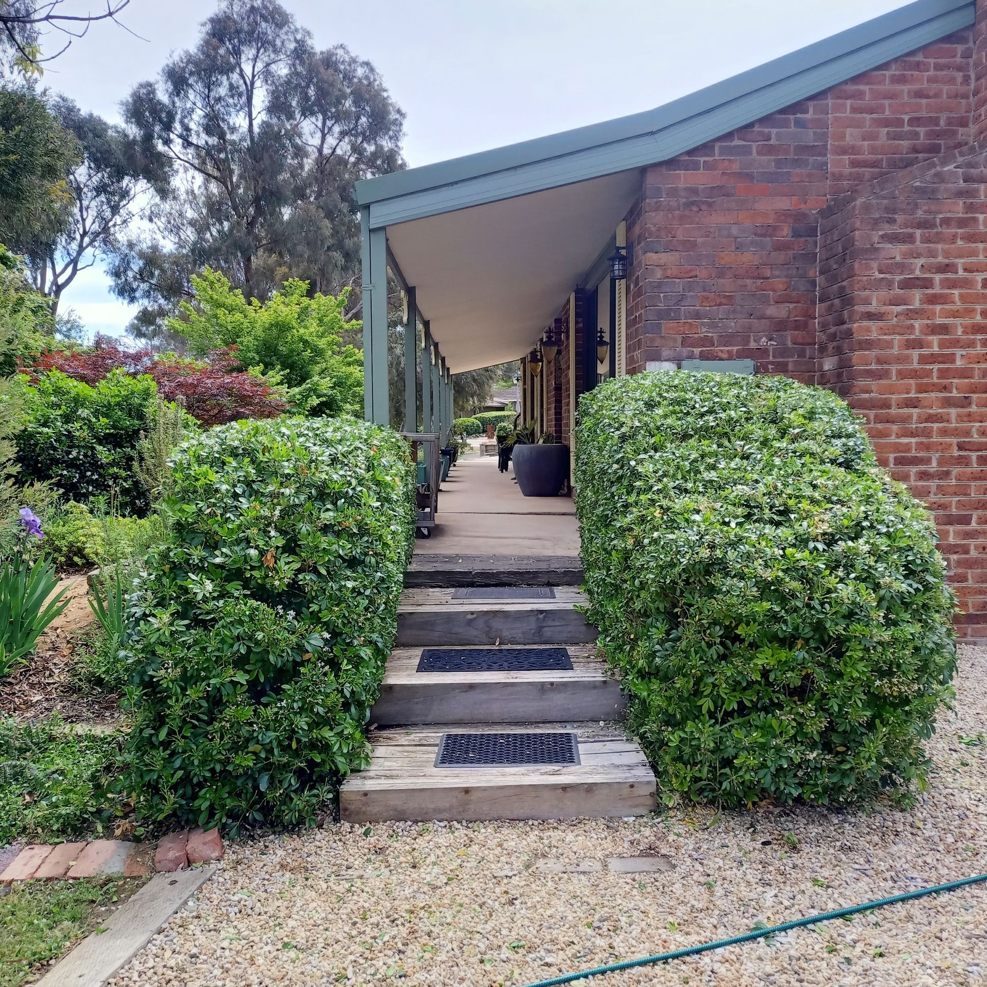 A brick building with a covered porch. Steps lead up to the porch, flanked by green bushes. — Your Garden in Charnwood, ACT