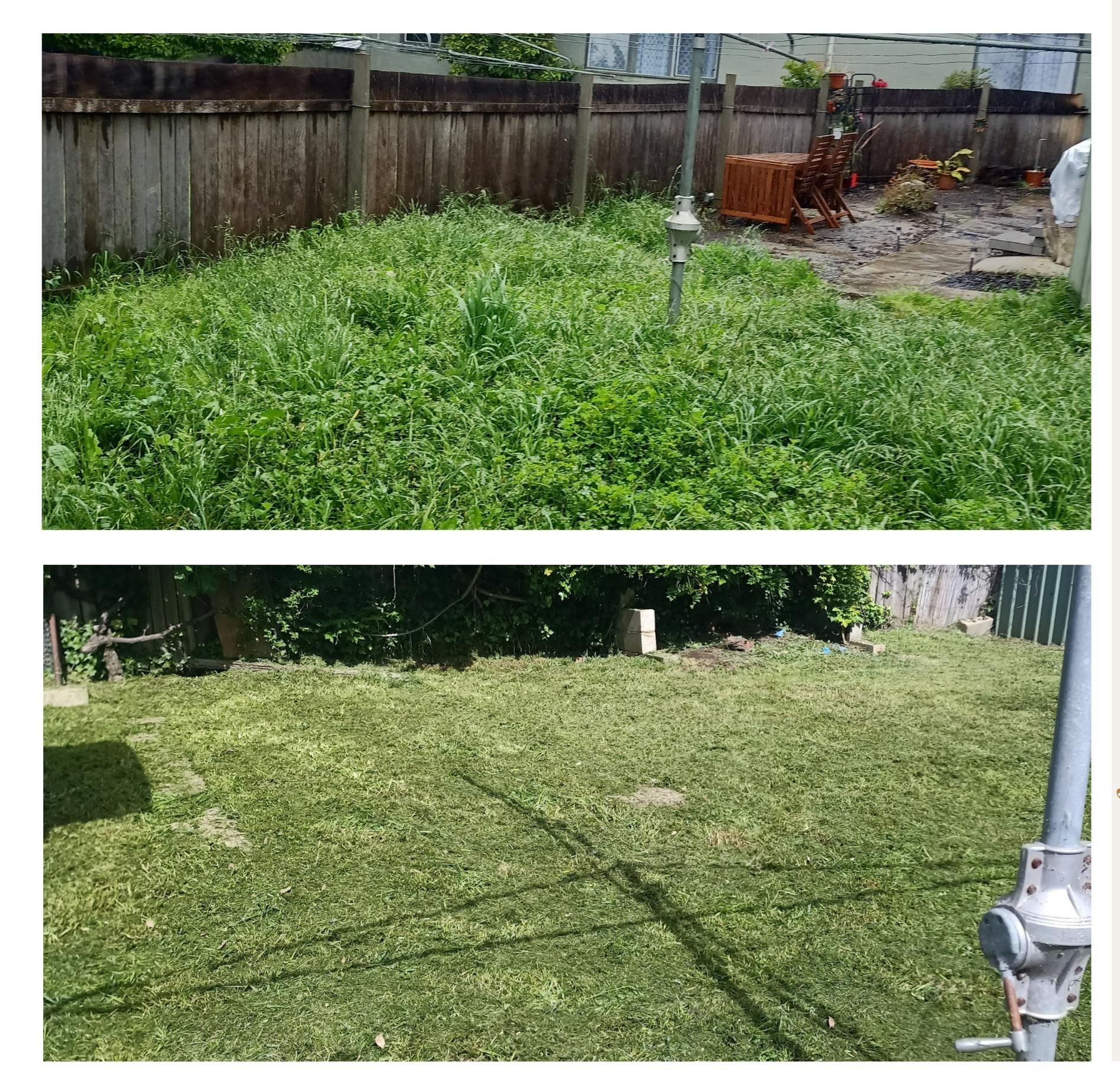 Before-and-after view of a backyard: a lush, weed-covered lawn is transformed into a freshly mowed, tidy yard. — Your Garden in Gungahlin, ACT