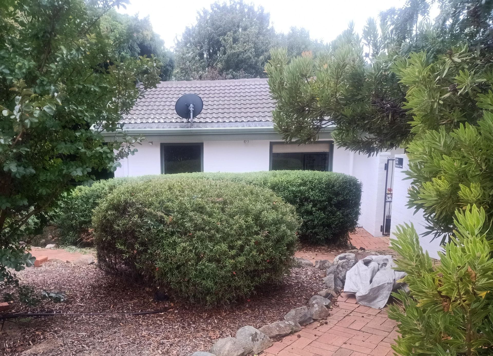 A small white house with a tiled roof and a satellite dish, viewed from a garden path surrounded by shrubs and trees. — Your Garden in Charnwood, ACT