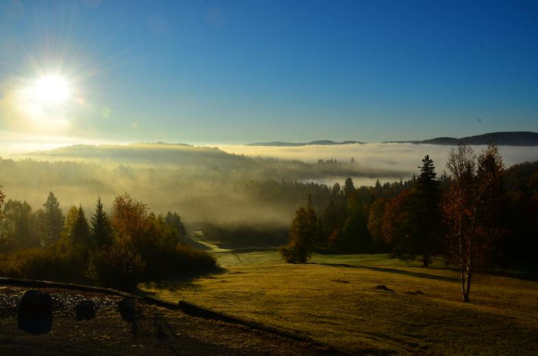 Vallée de montagne ensoleillée avec brouillard bas ; herbe dorée, arbres d'automne et ciel bleu.