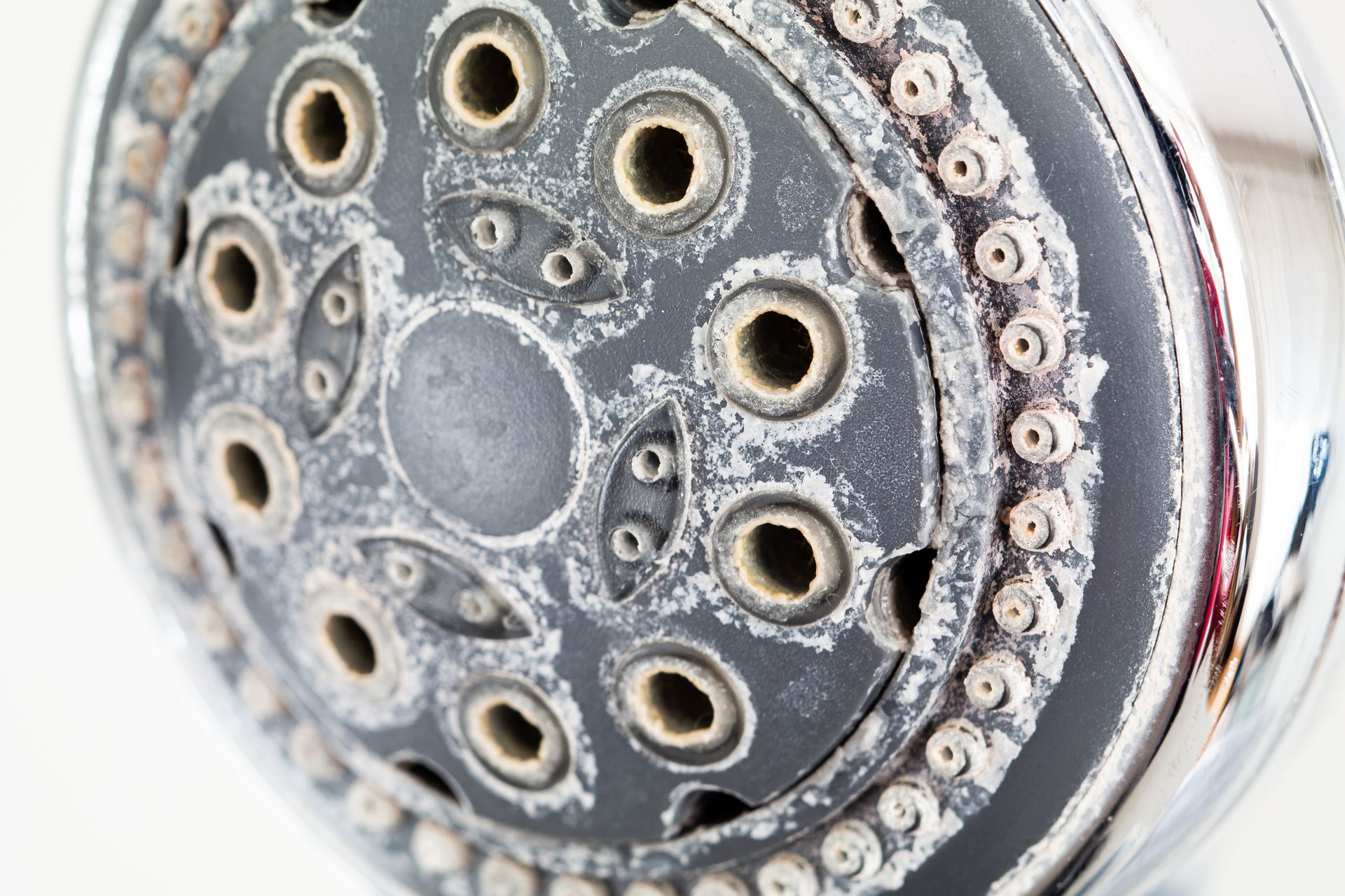 Close-up of a showerhead clogged with white mineral buildup around the spray holes.