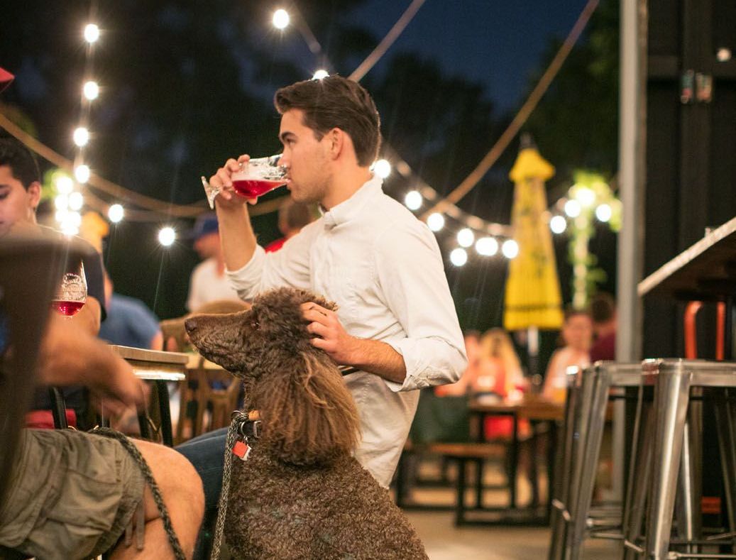 Man petting dog and drinking a drink at Central Standard Brewing