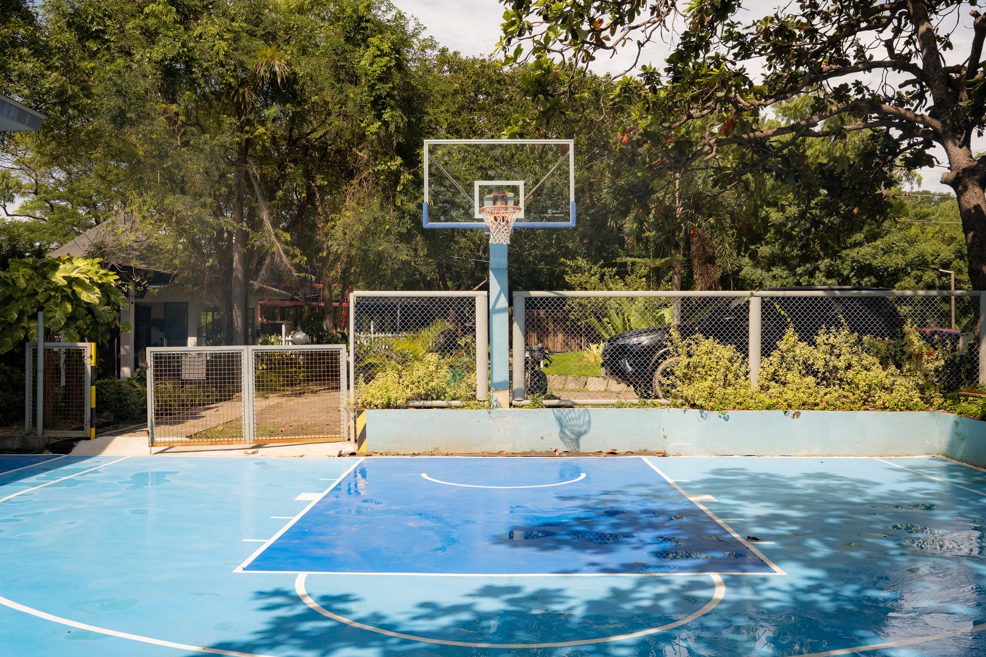 Blue basketball court with a hoop and surrounding trees.