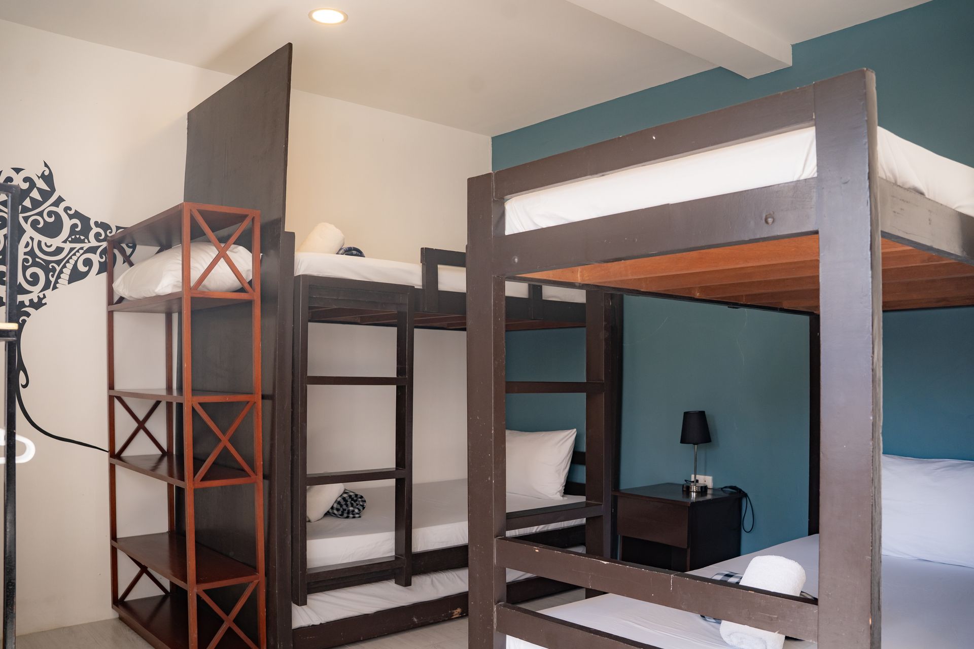 Bunk beds in a room with a teal accent wall and a dark brown shelving unit.